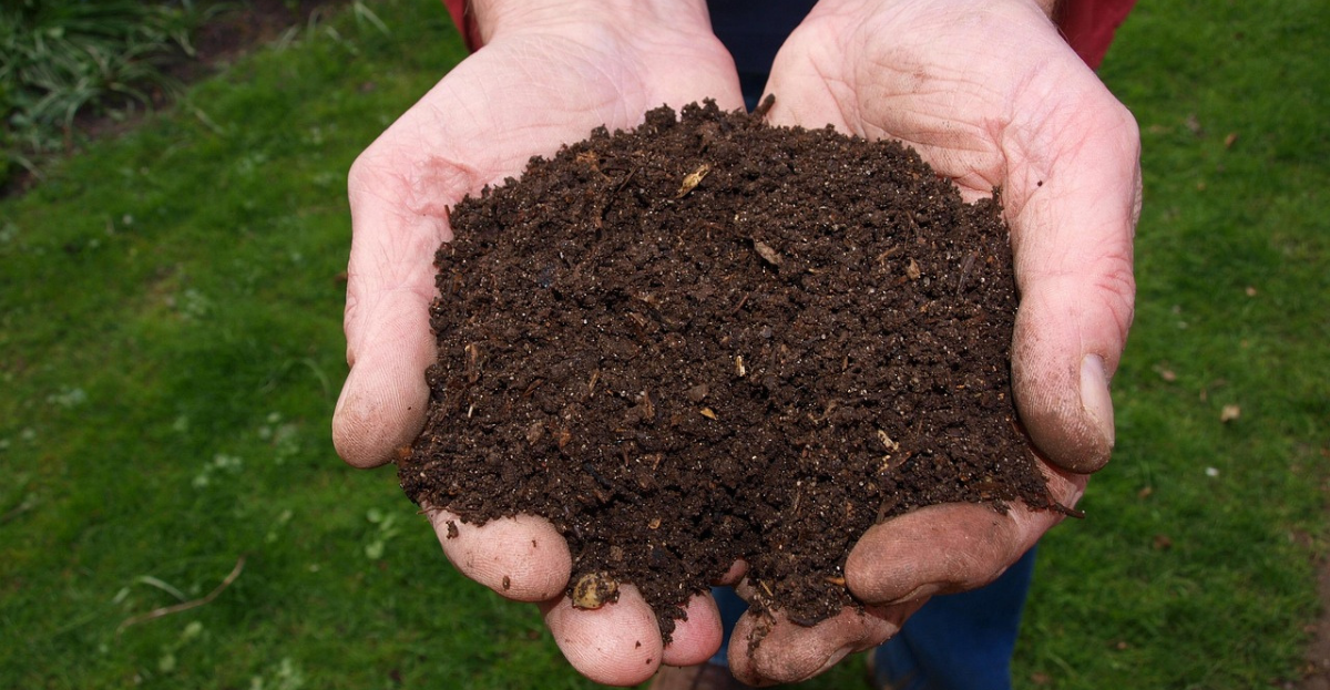 Handful of compost